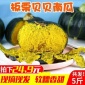 貝貝小南瓜 **當季香甜軟糯板栗小南瓜除偏遠地區(qū)包郵 寶寶輔食