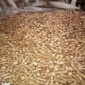 廠家大量供應(yīng)熱值生物燃料顆粒 生產(chǎn)木屑顆粒 生物質(zhì)顆粒