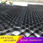 優(yōu)質(zhì)供應伸縮自如土工格室 蜂巢土工格室 施工簡單 蜂巢約束系統(tǒng)