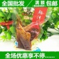 饞胃王鮑汁爆魚6斤/箱 散稱風(fēng)味魚肉麻辣零食品批發(fā)省代理