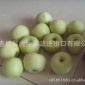 請(qǐng)關(guān)注 批量出口金帥蘋果 訂單火熱進(jìn)行中