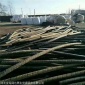 廠家嘉興二手電纜回收上門(mén)回收