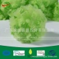 廠家來樣定制**黃綠原液著色無紡布紡紗面料再生滌綸短纖維